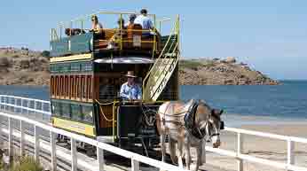 Трамваи на конной тяге существуют и по ныне,  но только для привлечения туристов. На фото трамвай в Австралии, длина маршрута 650 метров.